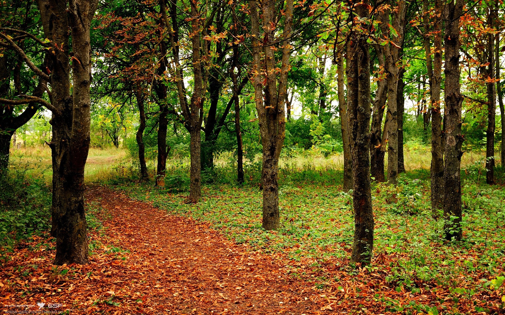 唯一性之夜，范戴克—西甲国家德比的非典型终结者